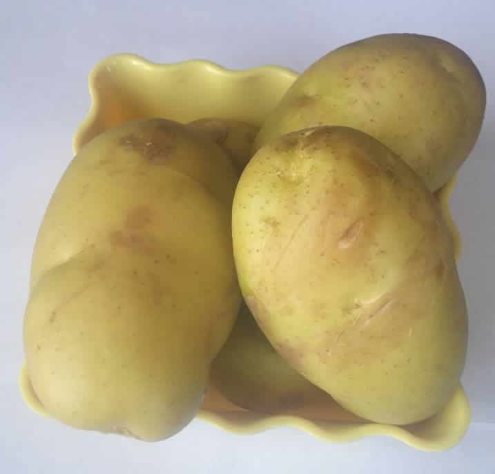 富硒馬鈴薯種植技術(shù)(富硒土豆)噴施富硒有機(jī)肥